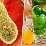 بهترین نوشیدنی برای کیسه صفرا
