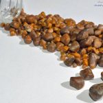 رژیم غذایی دفع سنگ کیسه صفرا