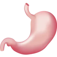 آندوسکوپی