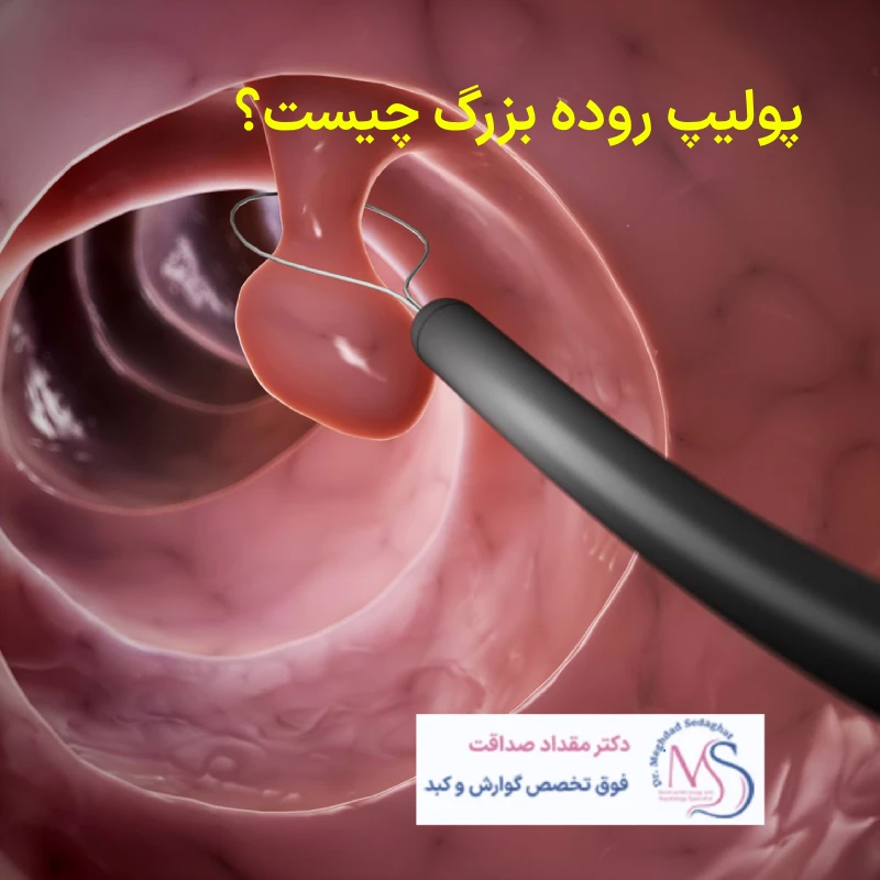 مقالات