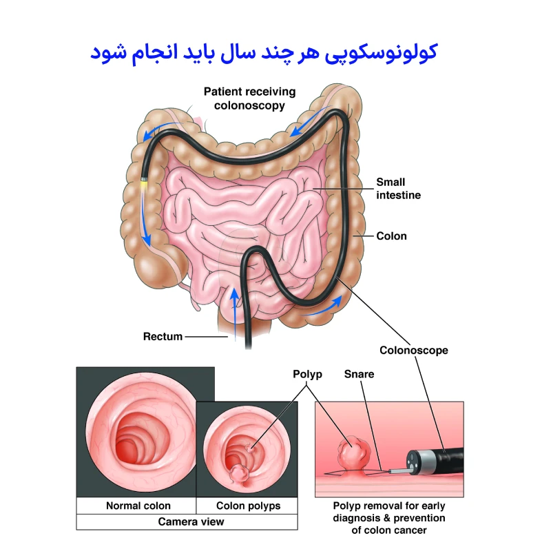 مقالات