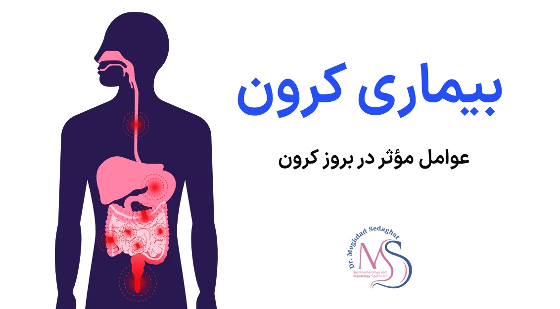 مقالات